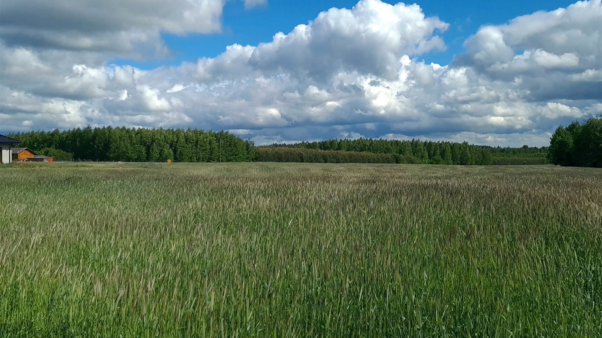 Działka na sprzedaż