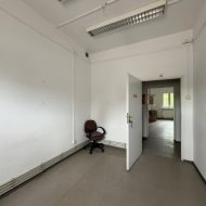 Lokal na wynajem