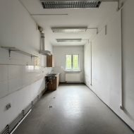 Lokal na wynajem