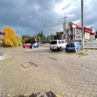 Lokal na wynajem